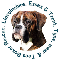 dog rescue teesside